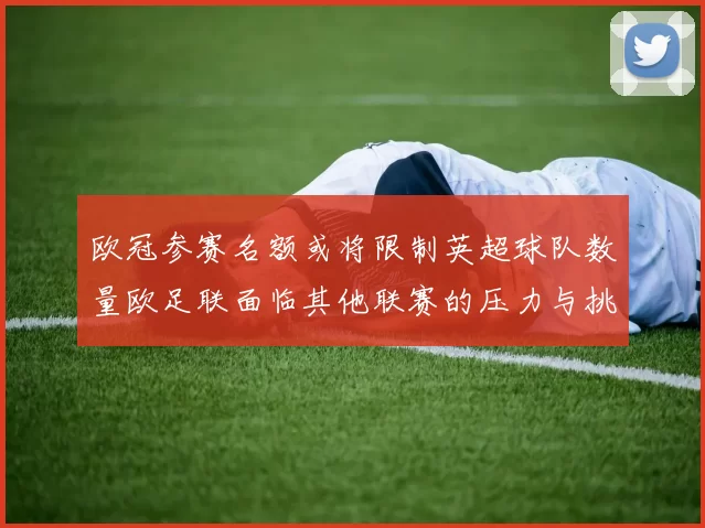欧冠参赛名额或将限制英超球队数量欧足联面临其他联赛的压力与挑战